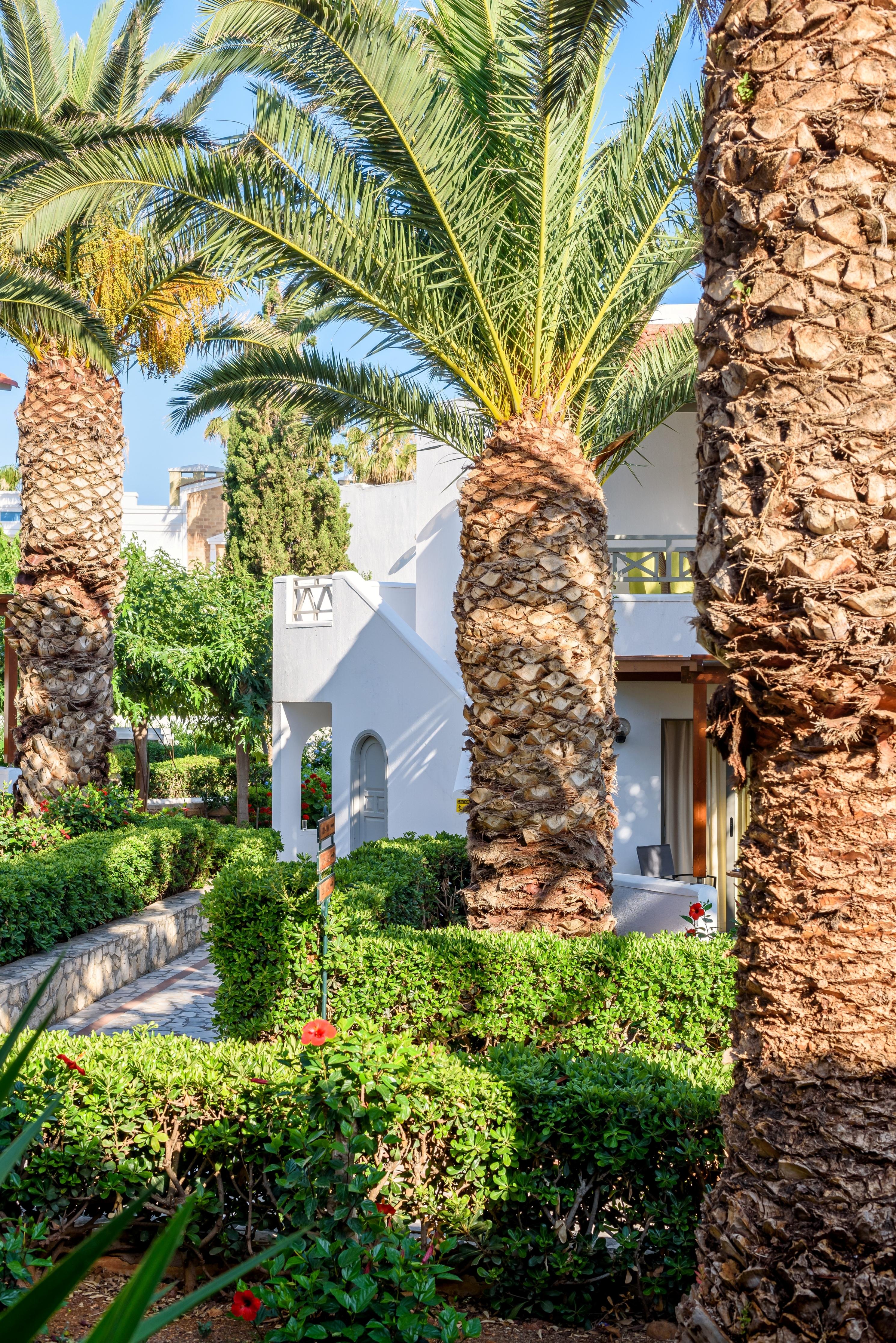 Annabelle Beach Resort Hersonissos  Esterno foto